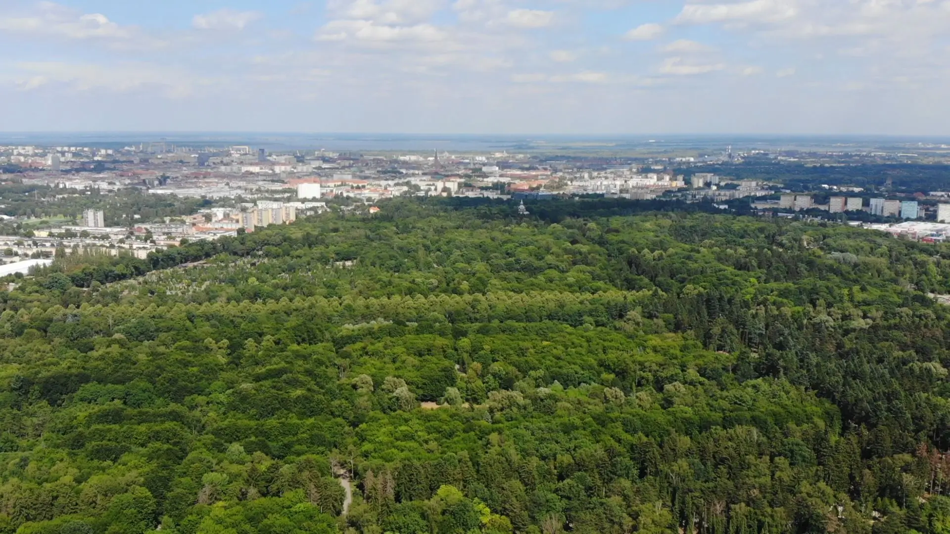 portfolio-picture-cmentarz-centralny-szczecin-06